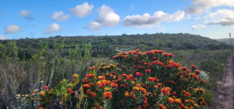 0 Bedroom Property for Sale in Stilbaai Rural Western Cape